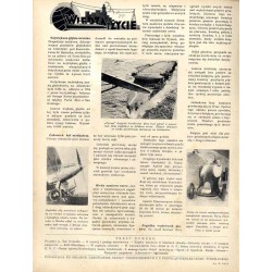 Wiarus. Organ Korpusu Podoficerów Zawodowych Wojska Lądowego, Marynarki Wojennej i Korpusu Ochrony Pogranicza. R.4 (1933). Nr 15