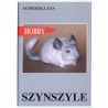Szynszyle