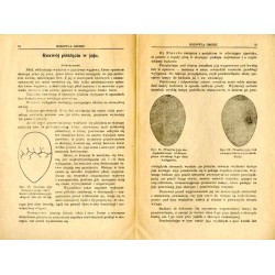 Hodowla Drobiu. Miesięcznik poświęcony sprawom podniesienia hodowli drobiu i organizacji handlu jego produktami. R.2 (1921). Nr