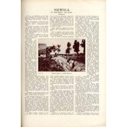 Tęcza. Ilustrowane pismo tygodniowe. R.4 (1930). Z. 35 (30 sierpnia 1930) / Św. Augustyn / Anna Słonczyńska / San Gimignano / Pr