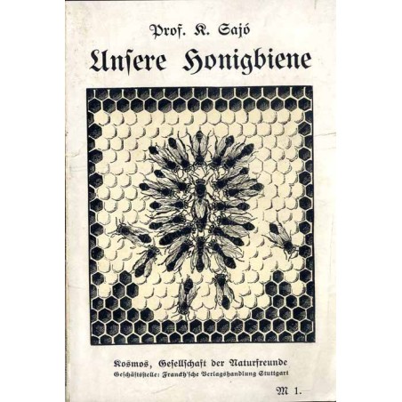 Unsere Honigbiene