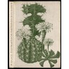 Das praktische Kakteenbuch in Farben. Neuzeitliche Pflege und Auswahl der schönsten Kakteen Mittagsblumen und anderen Sukkulente