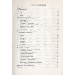 Das praktische Kakteenbuch in Farben. Neuzeitliche Pflege und Auswahl der schönsten Kakteen Mittagsblumen und anderen Sukkulente