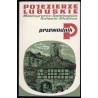 Pojezierze Lubuskie. Międzyrzecz, Świebodzin, Sulęcin, Słubice. Przewodnik