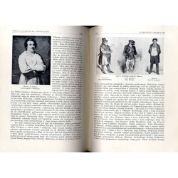 Wielka literatura powszechna. T. 2: (Część 1): Literatura średniowieczna łacińska, literatury romańskie