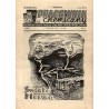 Pracownik Chemiczny. Centralny Organ Związku Zaw[odowego] Prac[owników] Przem[ysłu] Chem[icznego] w Polsce. R.1 (1948). Nr 6 (VI