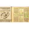 Dodatek Il. [Ilustrowanego] Kuryera Codziennego. [R.1 (1925)]. Nr 40 (9 lutego 1925)