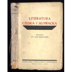 Literatura czeska i słowacka. Obraz piśmiennictwa
