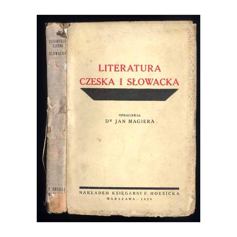 Literatura czeska i słowacka. Obraz piśmiennictwa