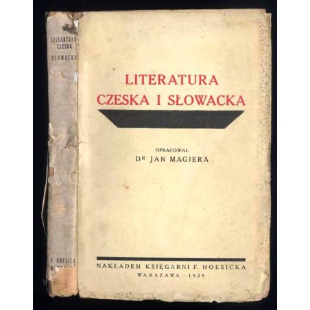 Literatura czeska i słowacka. Obraz piśmiennictwa