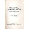 Literatura czeska i słowacka. Obraz piśmiennictwa