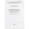 Ostrołęka. Dzieje miasta