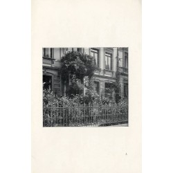 Zdobienie okien i balkonów kwiatami
