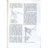 Ziemia 1967. Prace i materiały krajoznawcze