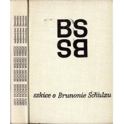 Regiony wielkiej herezji. Szkice o życiu i twórczości Brunona Schulza