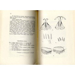 Księga pamiątkowa II Państwowego Gimnazjum im. Karola Szajnochy we Lwowie 1820-1930. Cz.1: Rozprawy byłych uczniów u profesorów