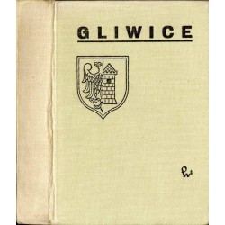 Gliwice. Zarys rozwoju miasta i okolicy
