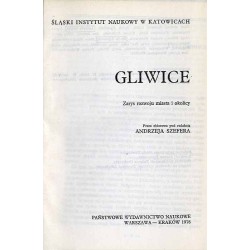 Gliwice. Zarys rozwoju miasta i okolicy