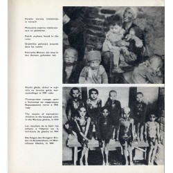 Wojna i dziecko