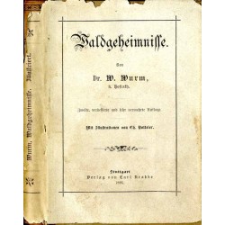 Waldgeheimnisse