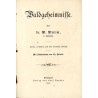 Waldgeheimnisse