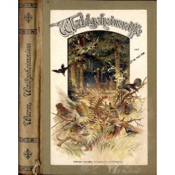 Waldgeheimnisse