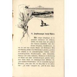 Waldgeheimnisse