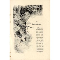 Waldgeheimnisse