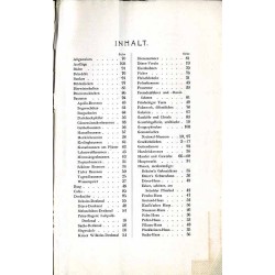 Führer durch die Feststadt Nürnberg, des deutschen Reiches Schatzkästlein 8. Deutsches Sängerbundes-Fest 1912