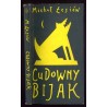 Cudowny bijak. Bajki ludowe współcześnie pisane