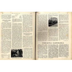 Wiarus. Organ Korpusu Podoficerów Zawodowych Wojska Lądowego, Marynarki Wojennej i Korpusu Ochrony Pogranicza. R.4 (1933). Nr 22