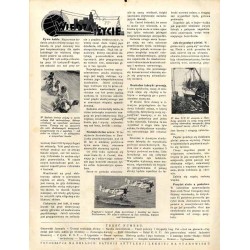 Wiarus. Organ Korpusu Podoficerów Zawodowych Wojska Lądowego, Marynarki Wojennej i Korpusu Ochrony Pogranicza. R.4 (1933). Nr 22