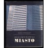 Jego ekscelencja miasto