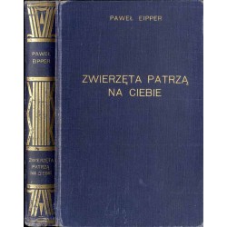 Zwierzęta patrzą na Ciebie