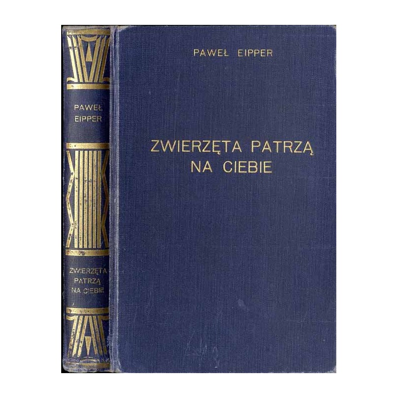 Zwierzęta patrzą na Ciebie