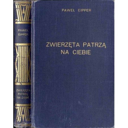 Zwierzęta patrzą na Ciebie