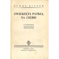 Zwierzęta patrzą na Ciebie