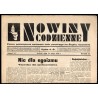 Nowiny Codzienne. Pismo poświęcone sprawom ludu polskiego na Śląsku Opolskim. R.24 (1934). Nr 117 (26 maja 1934)