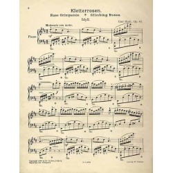 Kletterrosen. Rose Grimpante. Climbing Roses. Idyll. Op. 43