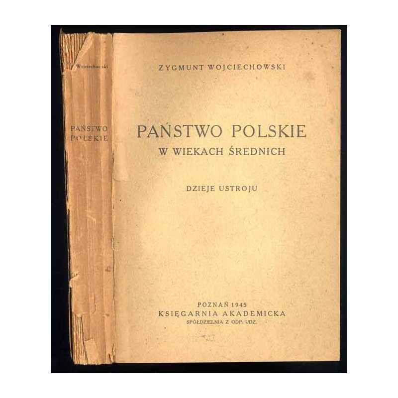 Państwo polskie w wiekach średnich. Dzieje ustroju