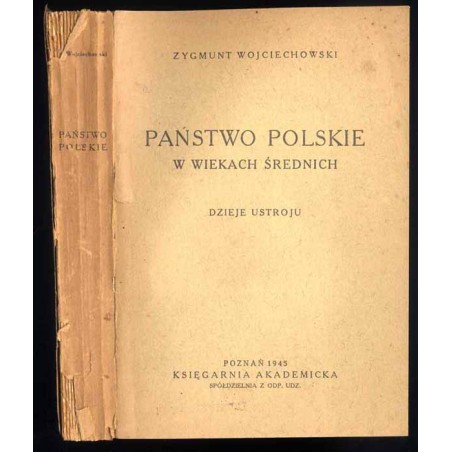 Państwo polskie w wiekach średnich. Dzieje ustroju