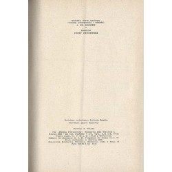 Historia jedynego romansu. Opowieść o Mochnackim