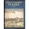Szkice z dziejów Śląska