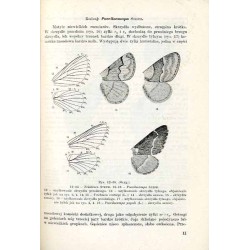 Klucze do oznaczania owadów Polski. Cz.27: Motyle - Lepidoptera. Z.55-58: Lasiocampidae, Endromididae, Lemoniidae, Saturnidae
