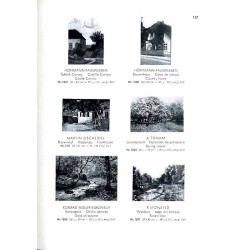 Kunstverlag Trowitzsch & Sohn. Frankfurt/ Oder. Farbige Kunstblätter. Láminas artisticas en colores. Artistic color prints. Kata