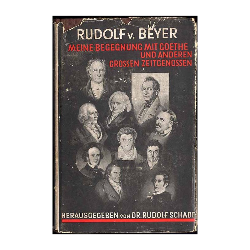 Meine Begegnung mit Goethe und anderen großen Zeitgenossen. Tagebuchblätter