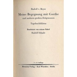 Meine Begegnung mit Goethe und anderen großen Zeitgenossen. Tagebuchblätter