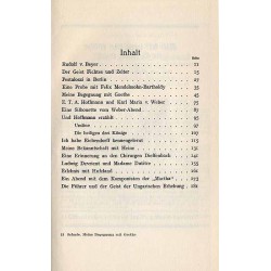 Meine Begegnung mit Goethe und anderen großen Zeitgenossen. Tagebuchblätter