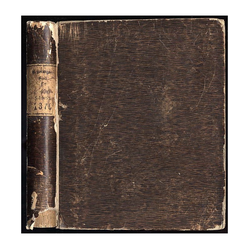 Regierungs-Blatt für das Großherzogthum Mecklenburg-Schwerin. Jahrgang 1876. No. 1-31