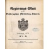 Regierungs-Blatt für das Großherzogthum Mecklenburg-Schwerin. Jahrgang 1876. No. 1-31